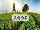 小学语文统编版二年级上册 24 风娃娃 课件