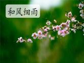 小学语文统编版二年级上册 24 风娃娃 课件