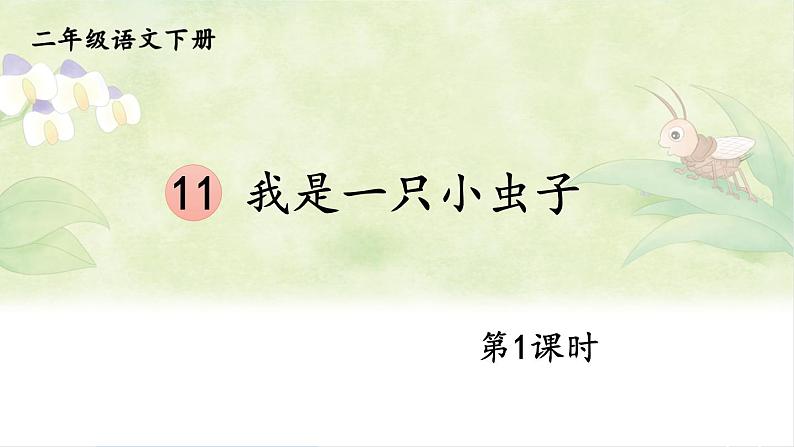 【核心素养】部编版小学语文二下  11 我是一只小虫子 第1课时  课件第1页