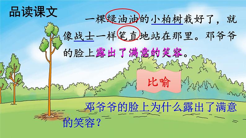 核心素养】部编版小学语文二下 4 邓小平爷爷植树 第2课时 课件第8页