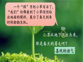 核心素养】部编版小学语文二下2 找春天 第2课时课件