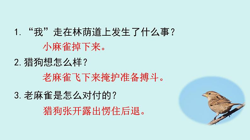 统编版语文四年级上册第五单元重点复习课件第5页