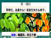 【核心素养】部编版小学语文二年级下册 13 画杨桃 课件+教案（含教学反思）+素材