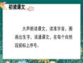 【核心素养】部编版小学语文二年级下册 13 画杨桃 课件+教案（含教学反思）+素材