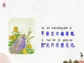 【核心素养目标】统编版2024语文一年级下册 识字1 春夏秋冬 课件 +素材