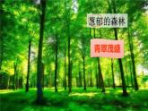核心素养】部编版小学语文二下8 彩色的梦 第2课时课件