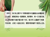 【核心素养目标】统编版2024语文一年级下册端午粽 课件 +素材
