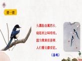 【核心素养目标】统编版2024语文一年级下册树和喜鹊 课件 +素材