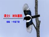 【核心素养目标】统编版2024语文一年级下册树和喜鹊 课件 +素材