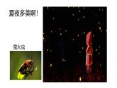 眉山天府新区龙马小学方强部编版一年级下册语文园地六《问号和感叹号的用法》微课堂视频+PPT+作业设计+教案+zip (1)