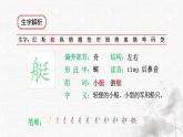 统编版语文五年级下册第7单元18《威尼斯的小艇》生字解析课件