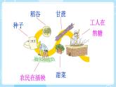 核心素养】部编版小学语文二下 6 千人糕 第2课时课件