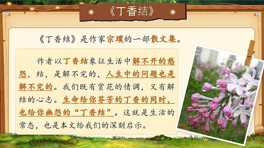 部编版六年级语文上册期中复习课件第4页