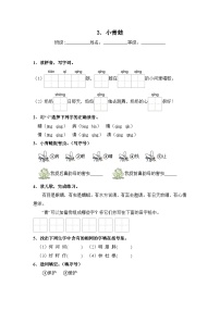 小学语文统编版（2024）一年级下册（2024）第一单元·识字3 小青蛙优秀精练