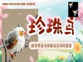 部编版五年级语文上册第4课《珍珠鸟》优质课件