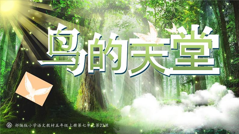 部编版五年级语文上册第23课《鸟的天堂》优质课件第6页