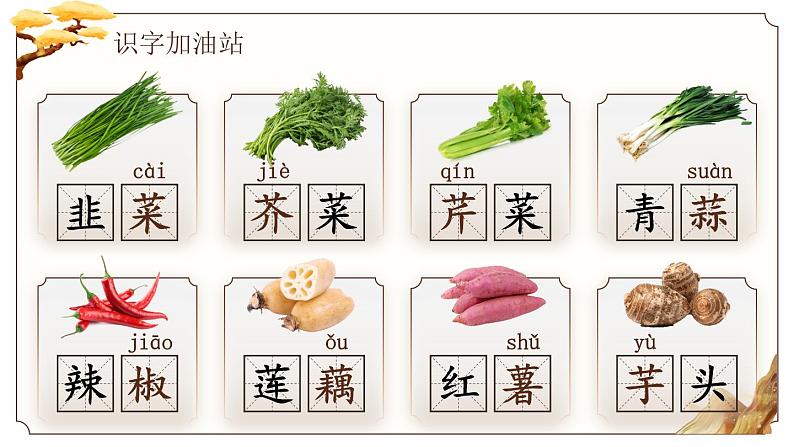 部编版四年级语文上册《语文园地六》优质课件第6页