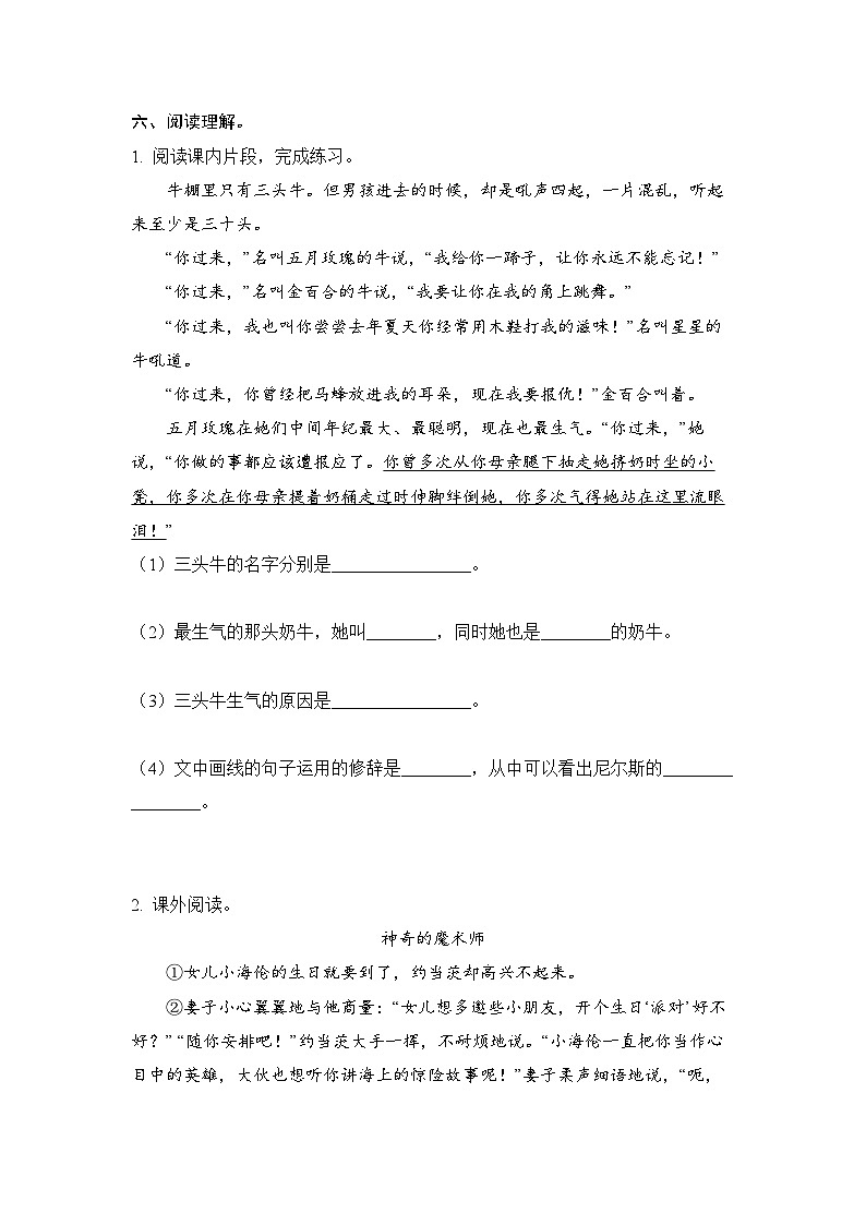 小学语文六年级下册部编版 第二单元第六课 骑鹅旅行记（节选）(练习题）第3页