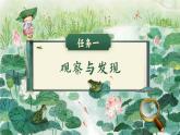 部编版2024一年级下册语文识字1.3 小青蛙 课件