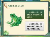 部编版2024一年级下册语文识字1.3 小青蛙 课件