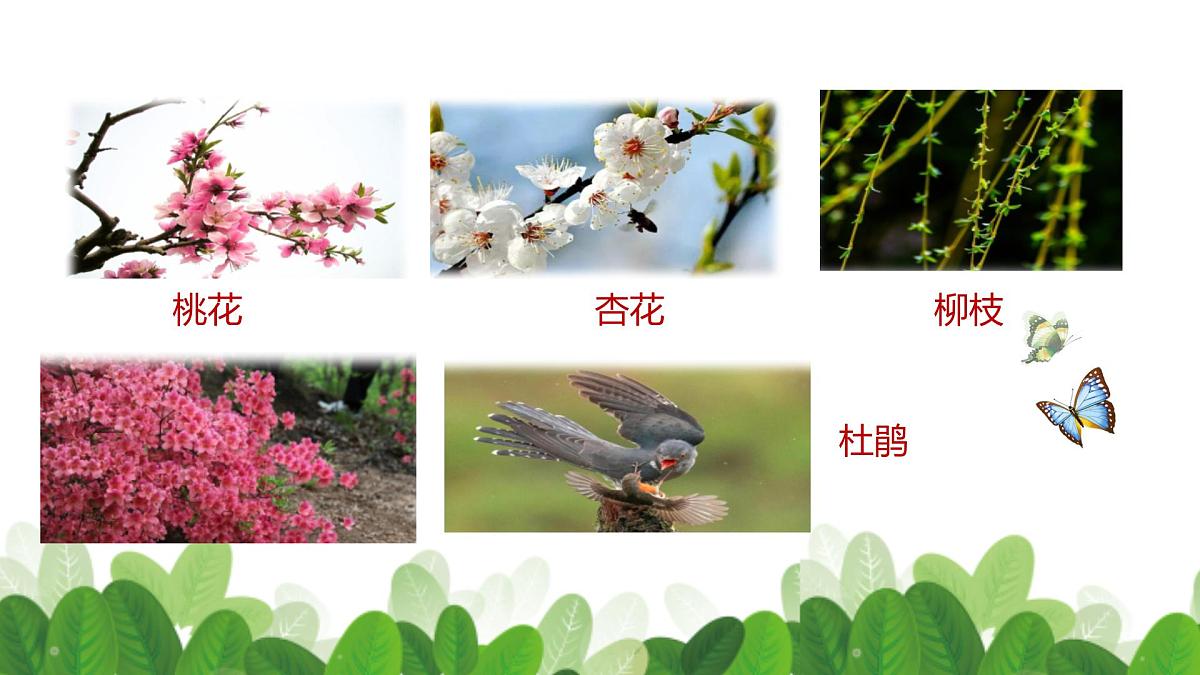 2 找春天 （课件）-2024-2025学年语文二年级下册统编版5第7页