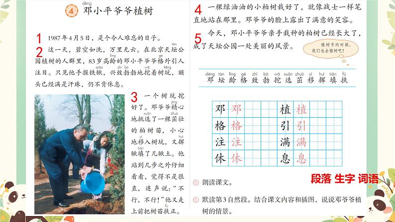 4 邓小平爷爷植树 （课件）2024-2025学年统编版二年级语文下册第4页