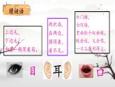 3 口耳目 手 足（课件）2024-2025学年统编版一年级语文上册1