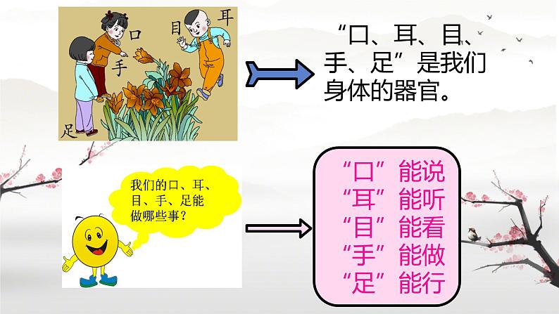 3 口耳目 手 足（课件）2024-2025学年统编版一年级语文上册1第5页