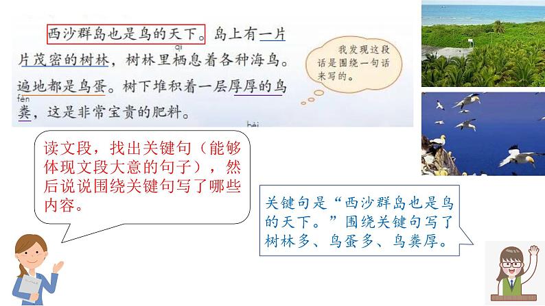 部编版小学语文三年级上册第六单元《这儿真美》习作课件第2页