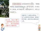 部编版小学语文三年级上册第六单元《这儿真美》习作课件