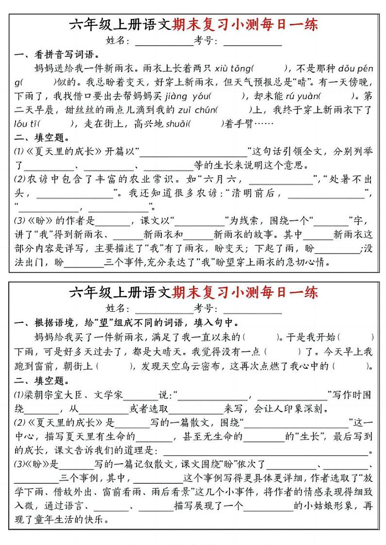 2024-2025六年级上册期末复习语文期末复习每日一练》第1页