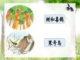 【新课标-核心素养】人教版语文二下9《枫树上的喜鹊》课件+教案+素养作业单+音视频素材