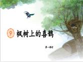 【新课标-核心素养】人教版语文二下9《枫树上的喜鹊》课件+教案+素养作业单+音视频素材