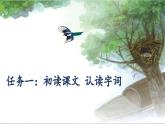 【新课标-核心素养】人教版语文二下9《枫树上的喜鹊》课件+教案+素养作业单+音视频素材