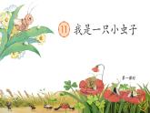 【新课标-核心素养】人教版语文二下11《我是一只小虫子》课件+教案+素养作业单+音视频素材
