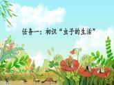 【新课标-核心素养】人教版语文二下11《我是一只小虫子》课件+教案+素养作业单+音视频素材