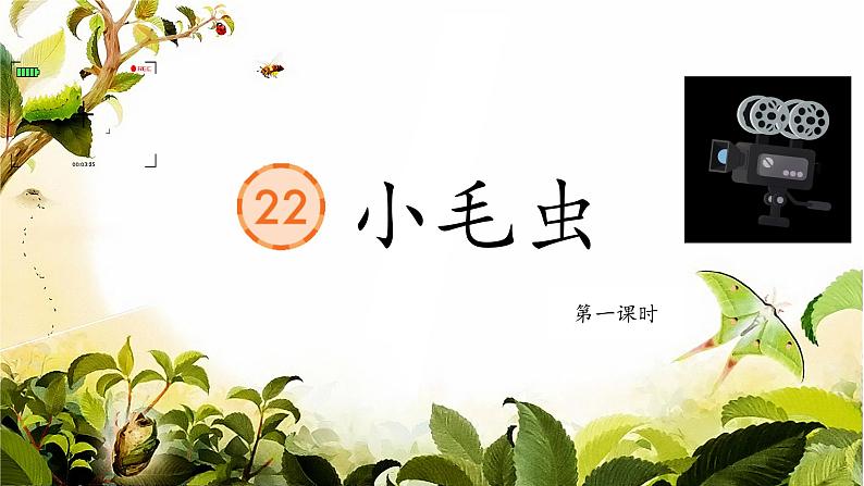 22小毛虫第3页