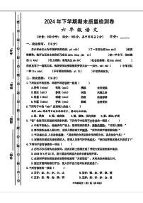 湖南省长沙市雨花区2024-2025学年六年级上学期期末语文试题