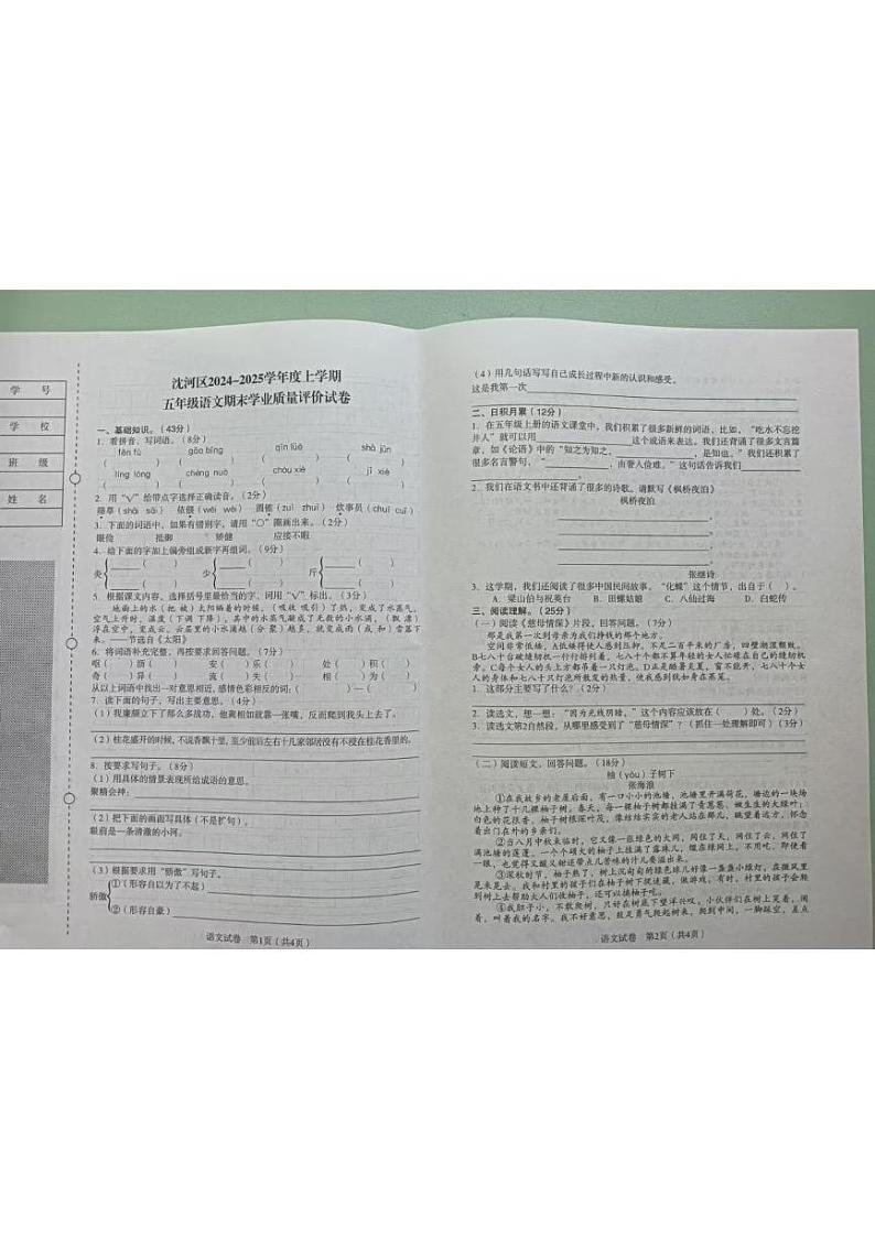 辽宁省沈阳市沈河区2024-2025学年五年级上学期期末学业质量评价语文试卷第1页