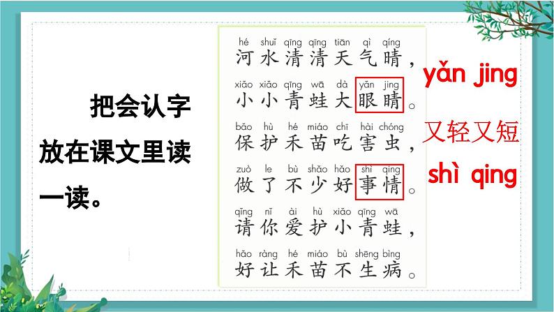 【核心素养】部编版小学语文一年级下册3 小青蛙-课件第7页