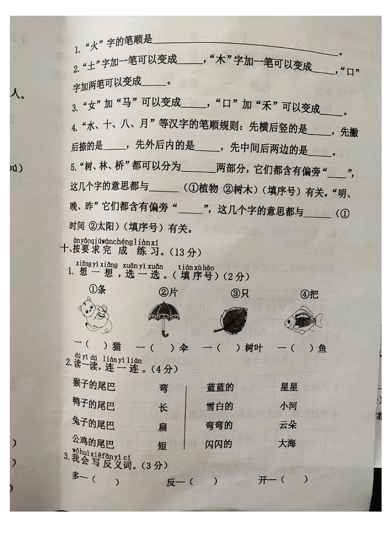 河北省廊坊市霸州市2024-2025学年一年级上学期1月期末语文试题第3页