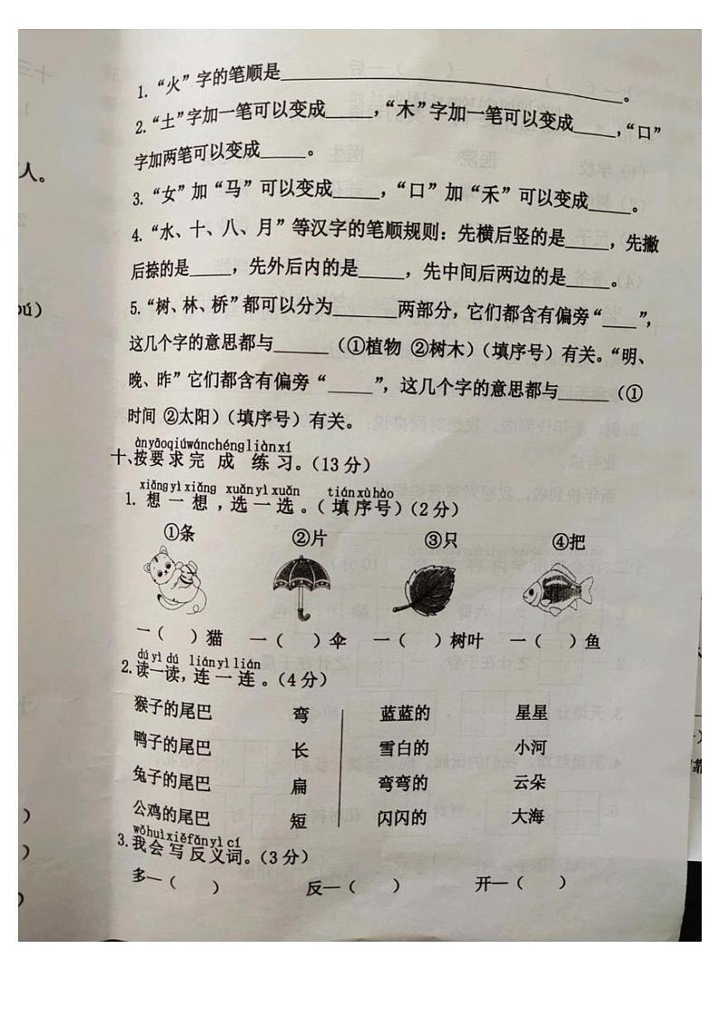 河北省廊坊市霸州市2024-2025学年一年级上学期1月期末语文试题第3页