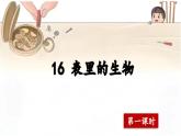 【核心素養(yǎng)】部編版小學(xué)語(yǔ)文六年級(jí)下冊(cè)16《表里的生物》第一課時(shí) 課件+教案（含教學(xué)反思）