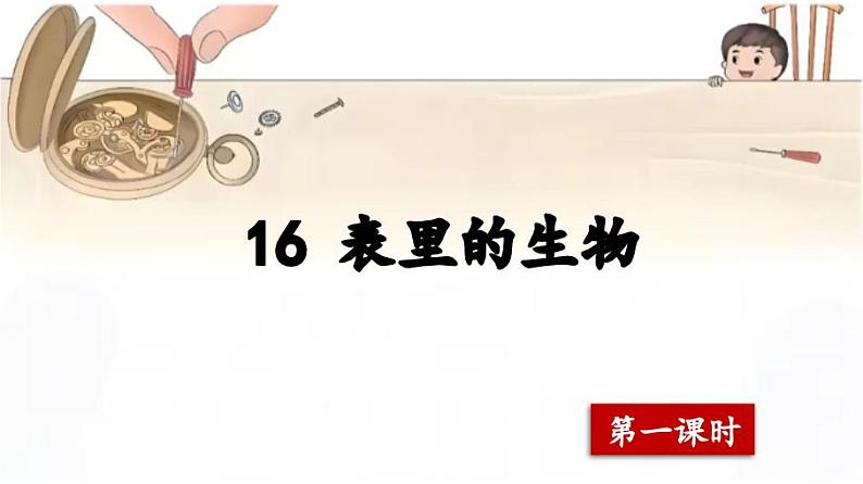 16《表里的生物》第一课时 课件第2页