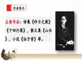 【核心素養(yǎng)】部編版小學(xué)語(yǔ)文六年級(jí)下冊(cè)16《表里的生物》第一課時(shí) 課件+教案（含教學(xué)反思）