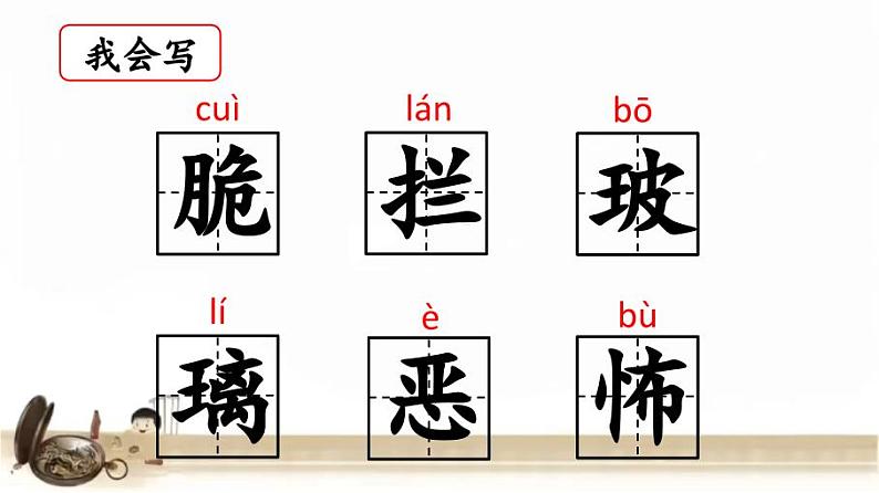 16《表里的生物》第一课时 课件第8页