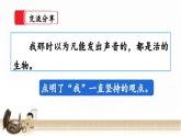 【核心素養(yǎng)】部編版小學(xué)語(yǔ)文六年級(jí)下冊(cè)16《表里的生物》第二課時(shí) 課件+教案（含教學(xué)反思）