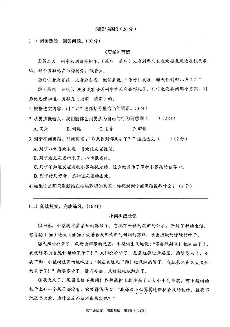 广东省深圳市龙华区2024-2025学年三年级上学期期末测试阳光素养巩固语文练习第3页