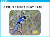 統(tǒng)編版(2024)語文一年級(jí)下冊--5《樹和喜鵲》第1課時(shí)（課件）