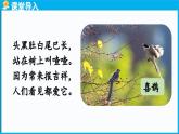統(tǒng)編版(2024)語文一年級(jí)下冊--5《樹和喜鵲》第2課時(shí)（課件）